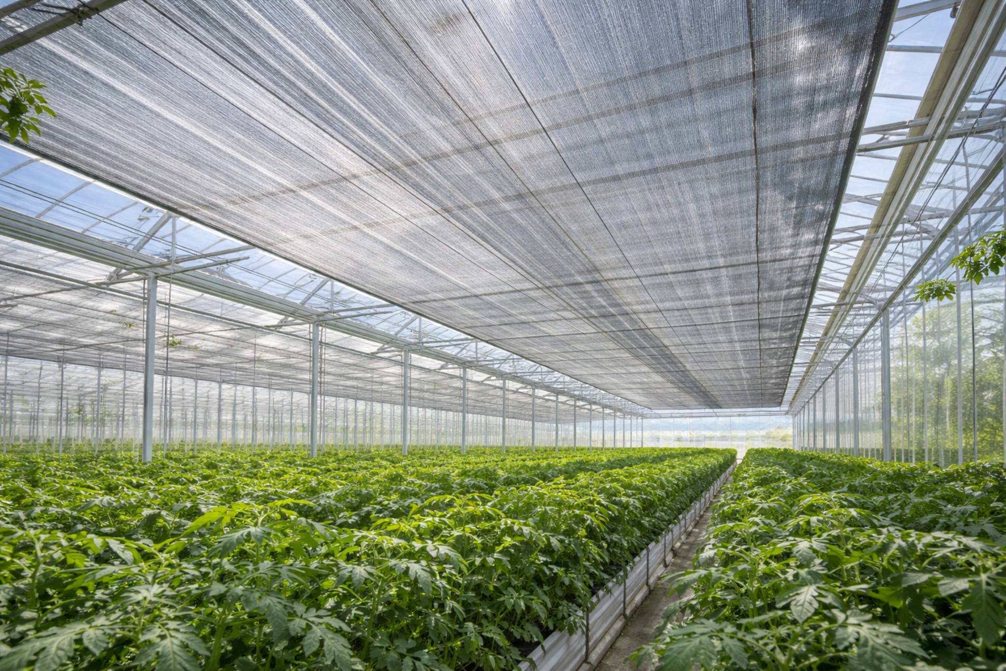 schermdoek voor tuinbouw over gewassen heen gespannen